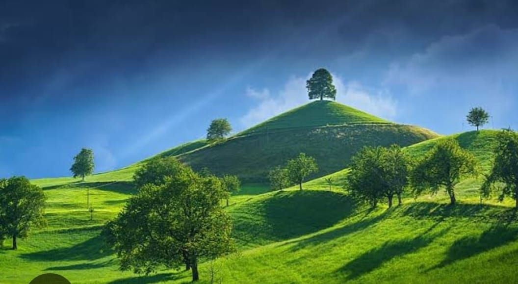 Constitution Of India cover